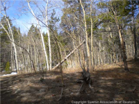 0 Polaris Rd 25B, Fairplay, CO 80440 