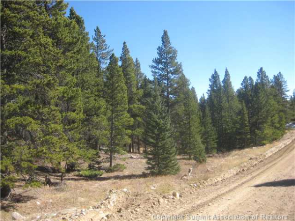 0 Venture Rd 1069, Fairplay, CO 80440 