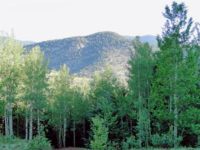 0 LAKE GULCH Road, Central City, CO 80427 