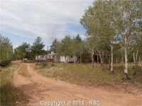 43 Pikes Peak Ln, Florissant, CO 80816 