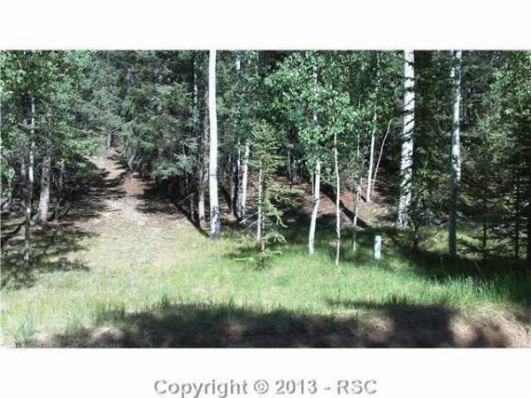 84 Kokwapy Ct, Florissant, CO 80816 