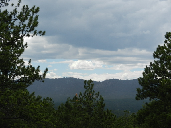 251 County 31 RD, Florissant, CO 80816 