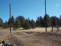 278Homestead Ln, Florissant, CO 80816 