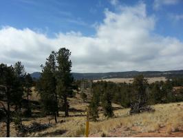 75 Divide Cr, Florissant, CO 80816 