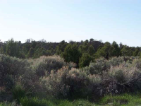 7000 (g) Road G.6, Egnar, CO 81325 