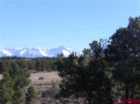 73 Molly's Way, Montrose, CO 81403 