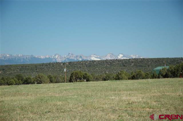 3103 County Road 22, Montrose, CO 81403 