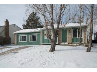 255 Mckinley Drive, Bennett, CO 80102 