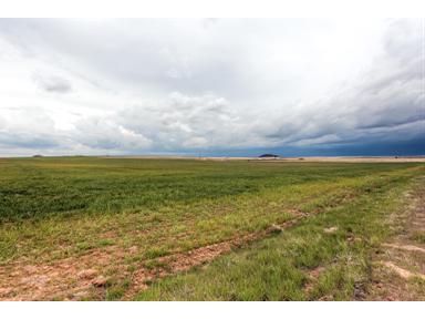 8310 IMBODEN Road, Watkins, CO 80137 