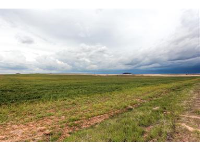 8310 IMBODEN Road, Watkins, CO 80137 
