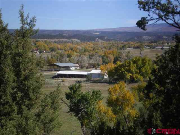 7051 Road 39, Mancos, CO 81328 