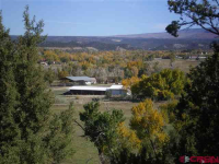 7051 Road 39, Mancos, CO 81328 