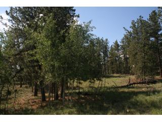 2995 Wagon Wheel Drive, Hartsel, CO 80449 
