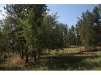 2995 Wagon Wheel Drive, Hartsel, CO 80449 