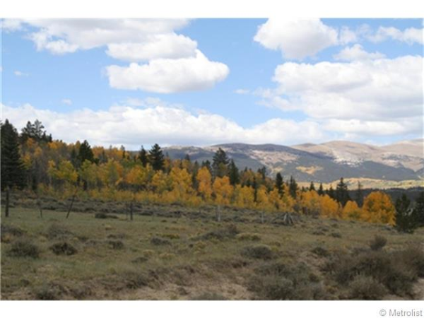 22 West County Road Road, Fairplay, CO 80844 