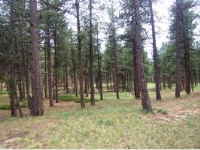 681 Skyline Dr., Woodland Park, CO 80863 