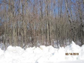 Lot 8 Guernseytown Rd., Watertown, CT 06795 