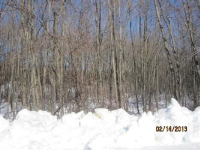Lot 8 Guernseytown Rd., Watertown, CT 06795 