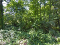 Erdoni, Columbia, CT 06237 