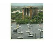 2951 S BAYSHORE DR # 817, Coconut Grove, FL 33133 