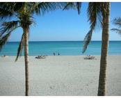 2501 S OCEAN DR # 1031, Hollywood, FL 33019 
