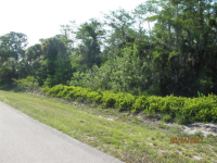 2753 22ND AVE NE, LOT 70, NAPLES, FL 34120 