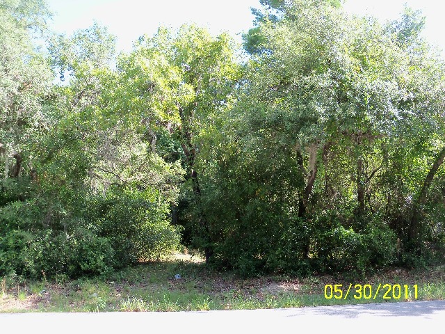 LOT 47 AND LOT 48 LATINA AVE, NEW PORT RI, FL 34610 