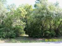 LOT 47 AND LOT 48 LATINA AVE, NEW PORT RI, FL 34610 