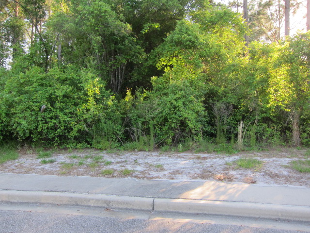 127 SKIMMER LANE, LOT 1, CARRABELLE, FL 32322 