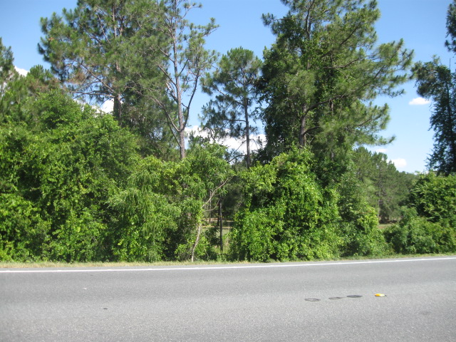 LOT 19 HOWEY RD, GROVELAND, FL 34736 
