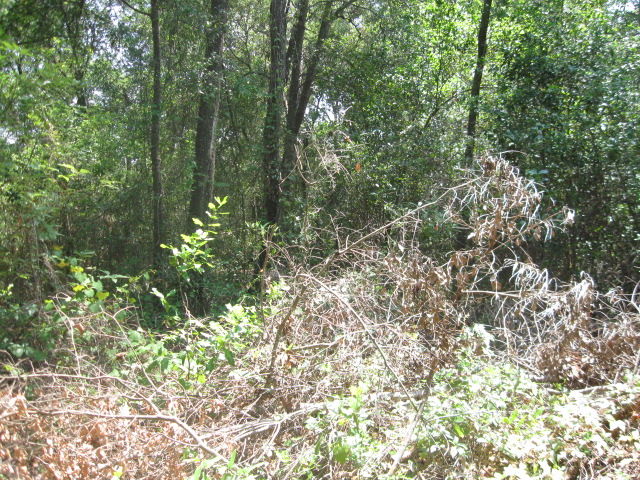 6534 BOOTH LANE, ORLANDO, FL 32810 