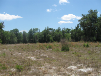 1499  SHADY MEADOW LN, DELAND, FL 32724 