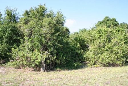 165 CREVALLE RD, ROTONDA WEST, FL 33947 