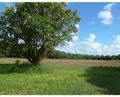 0 SW 192 St, Miami, FL 33187 