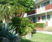 1065 98 ST # 8, Bay Harbor Islands, FL 33154 
