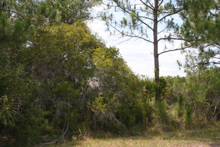 303 AND 295 FRIENDLY ST, PORT CHARLOTTE, FL 33953 