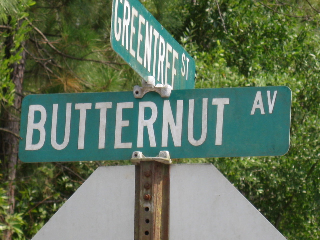 4192  BUTTERNUT AVE, BUNNELL, FL 32110 
