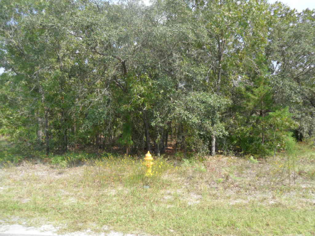 41 SWEETGUM, HOMISASSA, FL 34446 