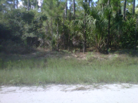 16661 88TH RD N, LOXAHATCHEE, FL 33470 