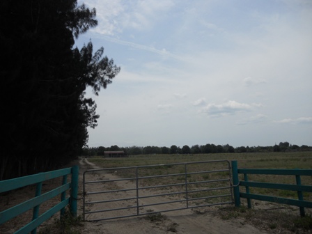 107TH  STREET, FELLSMERE, FL 32948 