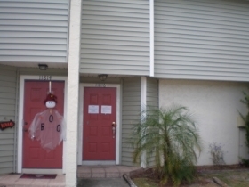 11816 N Armenia Ave, Tampa, FL 33612 