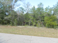 LOT 5 MALONE PL, CHIPLEY, FL 32428 