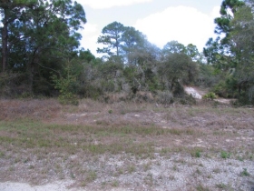 390 STARDUST AVE, LAKE PLACID, FL 33852 