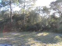 11298  REDGATE ST, SPRINGHILL, FL 34609 