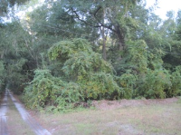 U/A SW 150TH ST, DUNNELLON, FL 34432 