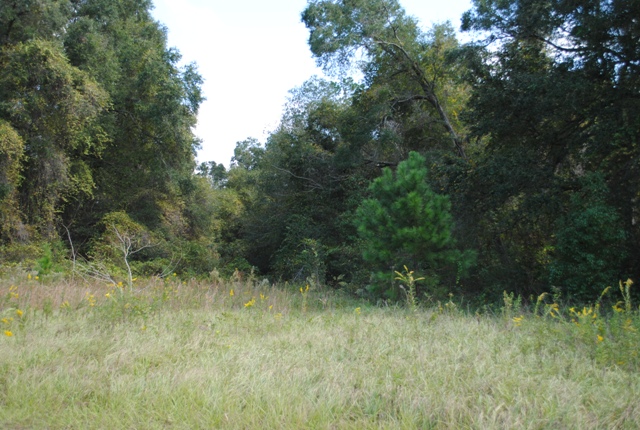 NW 90TH ST, OCALA, FL 34475 