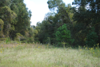 NW 90TH ST, OCALA, FL 34475 