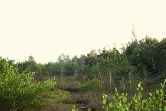 5300  GAME BIRD LN, BOKEELIA, FL 33922 