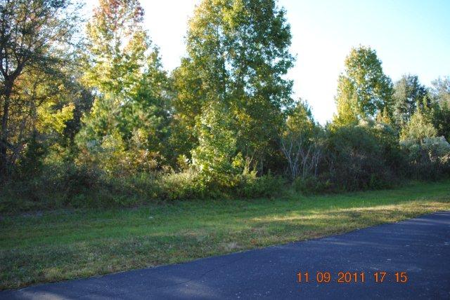 Lot 6 NW 147 Court, WILLISTON, FL 32696 