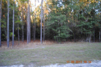 LOT 88 WINDING RIVER, BRONSON, FL 32621 